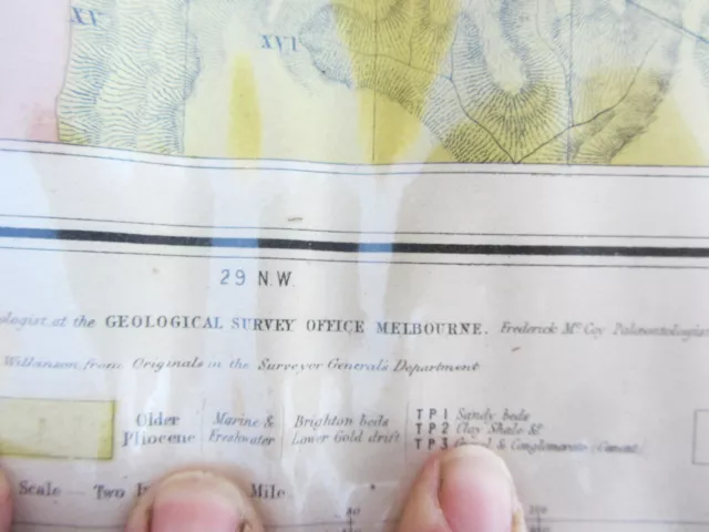 Antique Map 1862 GEOLOGICAL SURVEY OF VICTORIA Outer Geelong Harbour #23 3