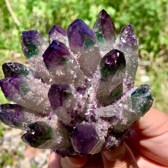 403G New Find PURPLE PhantomQuartz Crystal Cluster MineralSpecimen