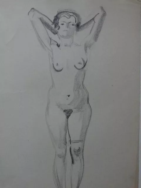 Weiblicher Akt im Nacken verschränkte Arme - Kohlezeichnung Skizze Erotik - 1950
