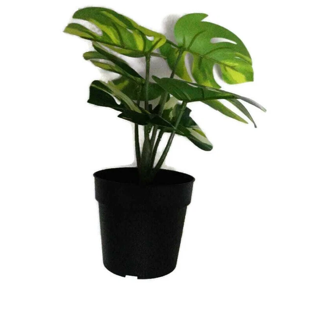 Orecchini Pendenti A Foglia Verde – Forma Di Palma E Monstera – Acrilico Leggero – Regalo In Sacchetto Di Organza