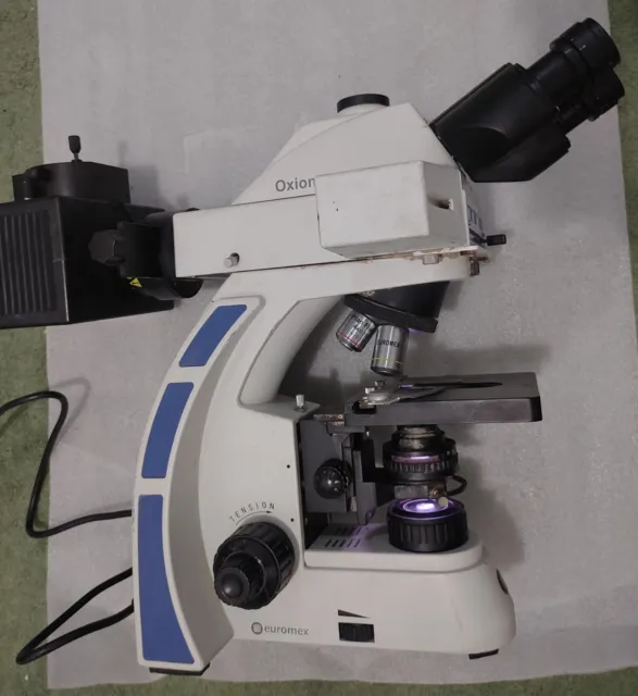 EuroMex Microscope binocular iScope Microscope  Fluorescence