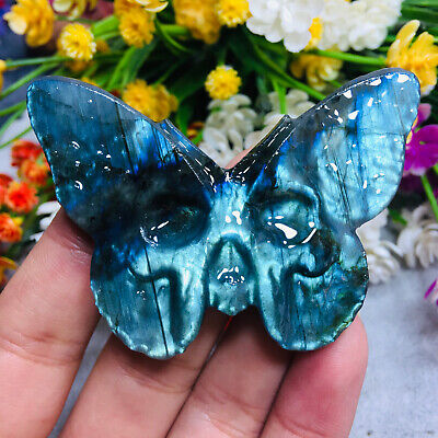 Natural Hand Carved Butterfly Labradorite Skull Quartz Crystal Reiki Healing 1PC