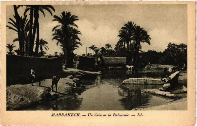 CPA AK MARRAKECH Un Coin de la Palmeraie MAROC (689590)