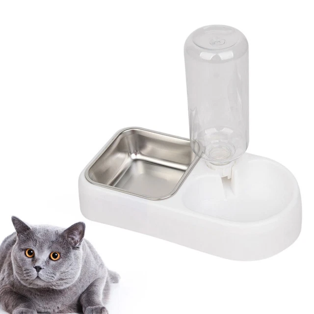 Feeder Kitten Bowls Puppy Water Dispenser Puppy Water Bowl Dog Food