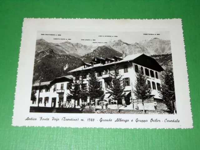 Cartolina Antica Fonte Pejo - Grande Albergo e Gruppo Ortler 1950 ca.