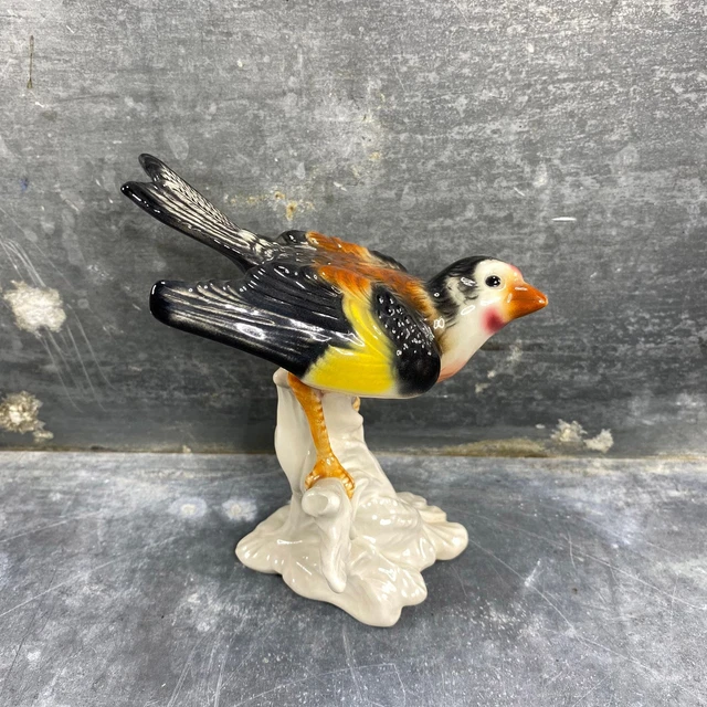 Oiseau en porcelaine de Goebel, céramique allemande, début XXème 5
