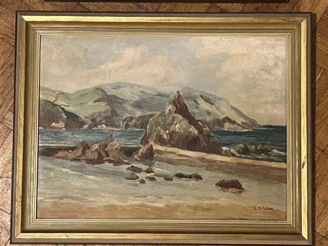 Modern British oil - Signed Vine - British ? Irish ? - seascape