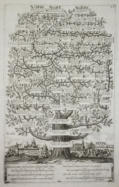 Stoccolma Sweden Sverige Svezia Vista Incisione Ceder-Baum 1661