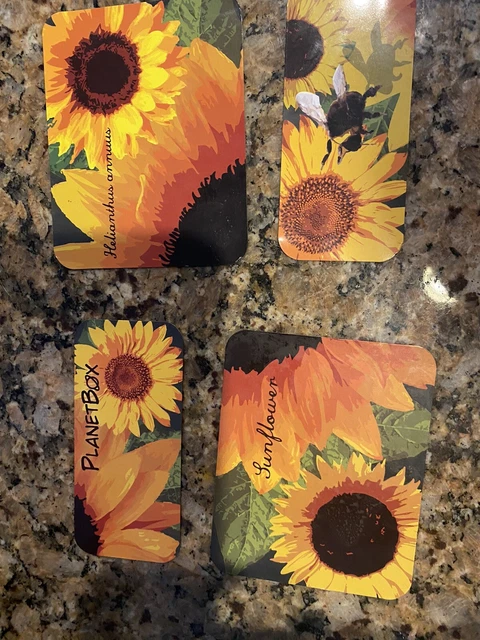 Planetbox Metal Lunch box art Magnets Yellow Sunflower Theme 4x Planetbox Metal Lunch box art Magnets Yellow Sunflower Theme 4x