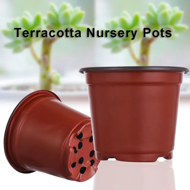 mini vases à fleurs série planteur pots de maternelles les plateaux de végétaux