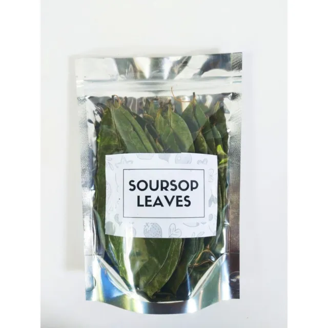 500+ Dried Soursop LEAVES 🌿 Ceylon Tea ☕ Annona HOJAS DE GUANABANA GRAVIOLA +++