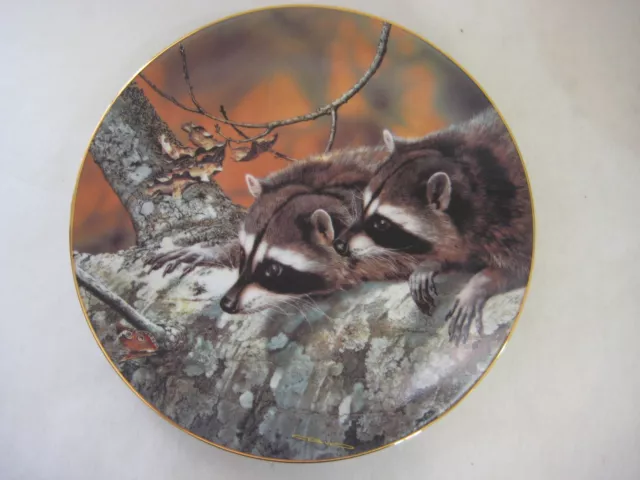 "Fascination" Plate By Carl Brenders First Issue Our Woodland Friend 1989 Bradex