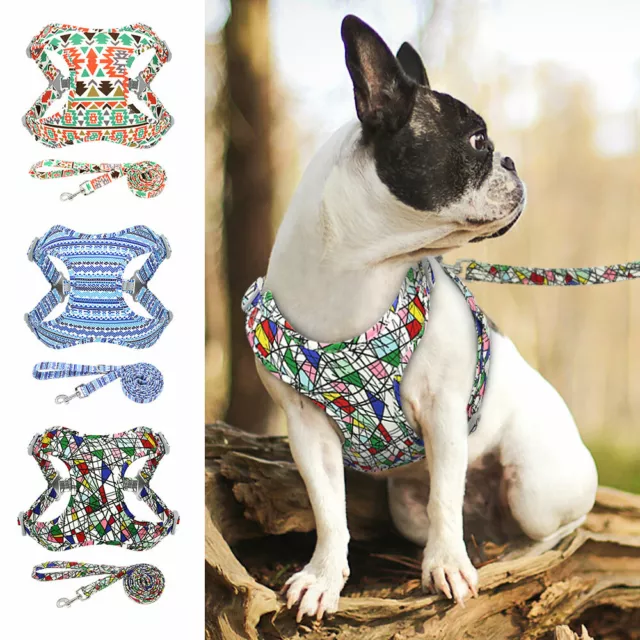 Mesh Dog Harness and Leash Pet Reflective Vest High Visibility Fancy Floral S-L