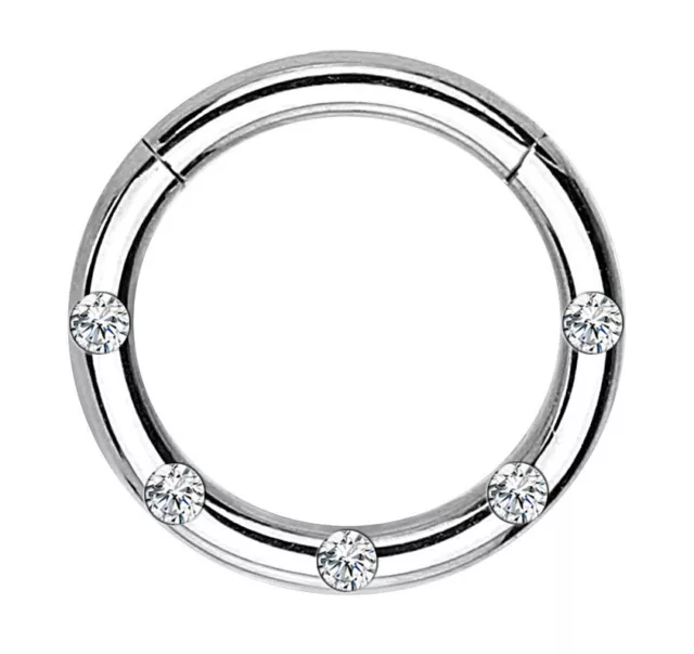 Hinged Segment Ring with Clear Set Gems Surgical Steel Lip Septum Nose Piercing