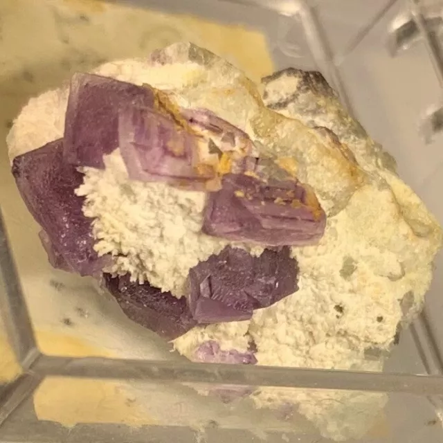 Fluorite Crystals T&G #3 Prospect Grant Co New Mexico USA