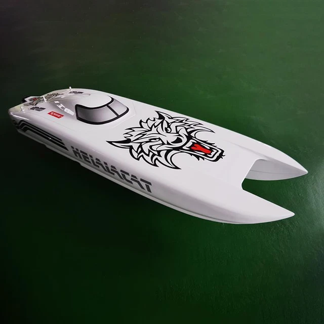 E51 Electric PNP RC Race Boat Made With Kevlar Dual Motor Servo ESC W/O Battery