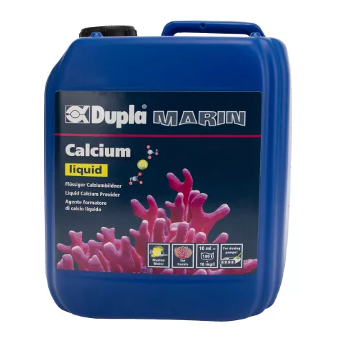 Calcium Liquide 5 L Éléments Traces Steinkorallen Coquillages Alpes Calcaires