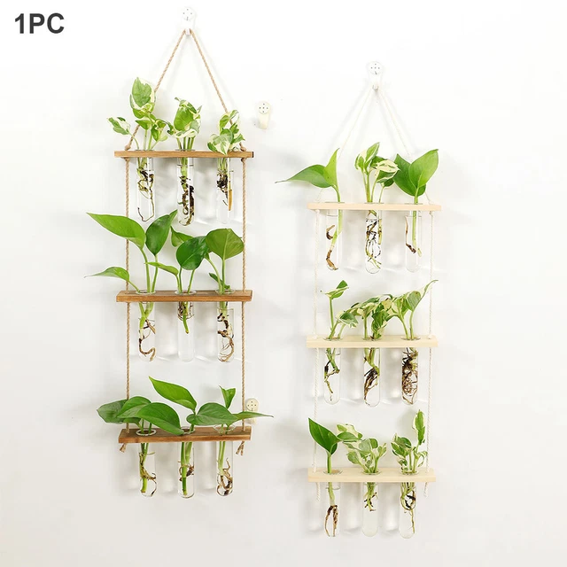 Wall Hanging Test Tube Planter Flower Vases With Wooden Stand Tiered Terrarium
