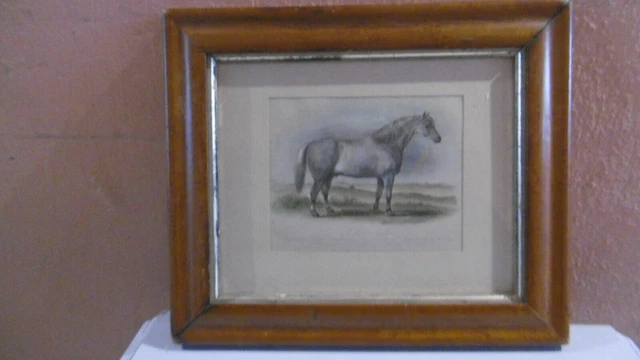 Old Print Of Cart Horse Stallion Strafford And Baker Wooden Frame Early Xx