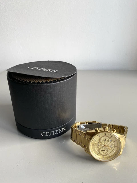 Citizen wr100 gold sales