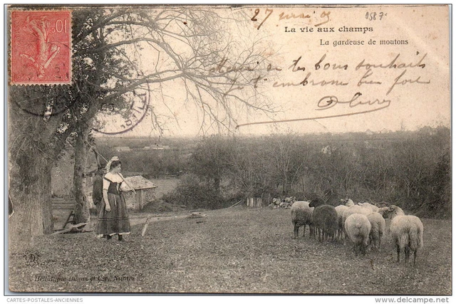 58 - la vie aux champs, la gardeuse de moutons