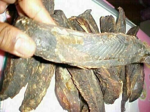 100% puro essiccato al sole tonno maldive tonno fish chip 100 g spedizione gratuita in tutto il mondo