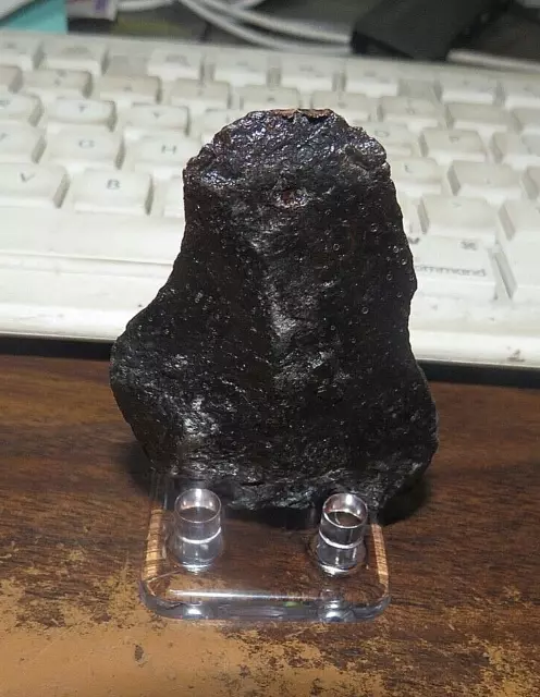 152 Gm CANYON DIABLO IRON METEORITE MUSEUM  GRADE ARIZONA  STAND INCLUDED