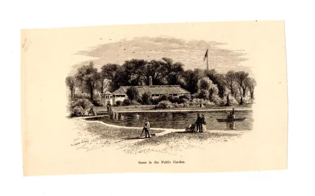 Massachusetts Boston Public Park Pond 1870s Antique Engraving Print