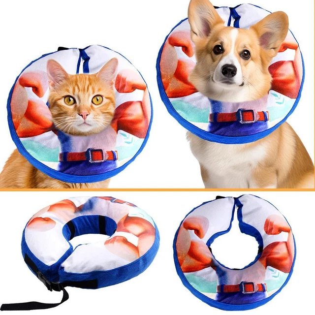 Collier Gonflable Chien Chat,Collier Bouée Pour Chien