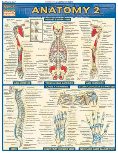 Anatomy 2 (Quickstudy: Academic) - Pamphlet By BarCharts, Inc. - VERY GOOD