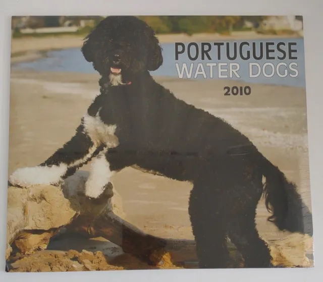 L@@K Portuguese Water Dog Calendar 2010 Large Photos 12x14