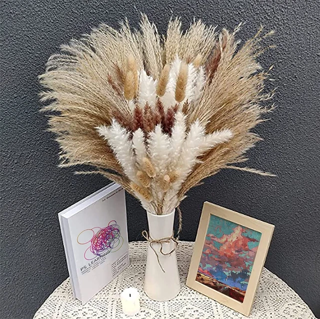 Pampas Grass 100 Pcs Natural Dried Pampas Grass - 15Pcs White Pampas & 15Pcs Nat