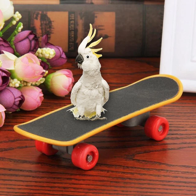 1pc Skateboard Papagei Vogelkäfig Training Wellensittiche Sittich Wachstum T ♪