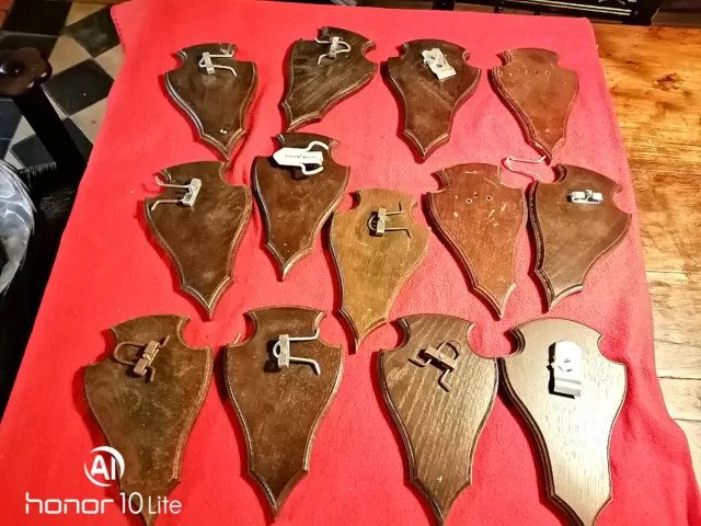 Trophäenschilder, 13 Stück,  Jagd,  Konvolut, Sammlung, Erbe,  Opa Nachlass