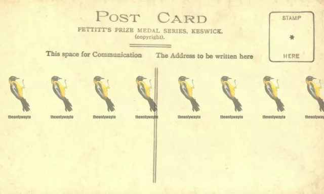 Thirlmere & Helvellyn, Cumbria, Rare 1063 RP Pettitts Postcard 2