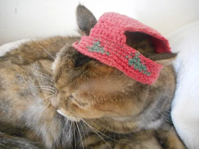 GIFT IDEA -CAT HAT hand-crocheted pink & green cotton for your fashionista kitty