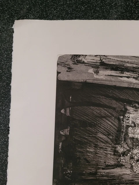 Lithographie signée et numérotée signature à identifier 7/100 3
