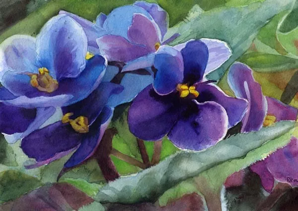 Giclee Print Art African Violet Flower Floral Watercolor Painting