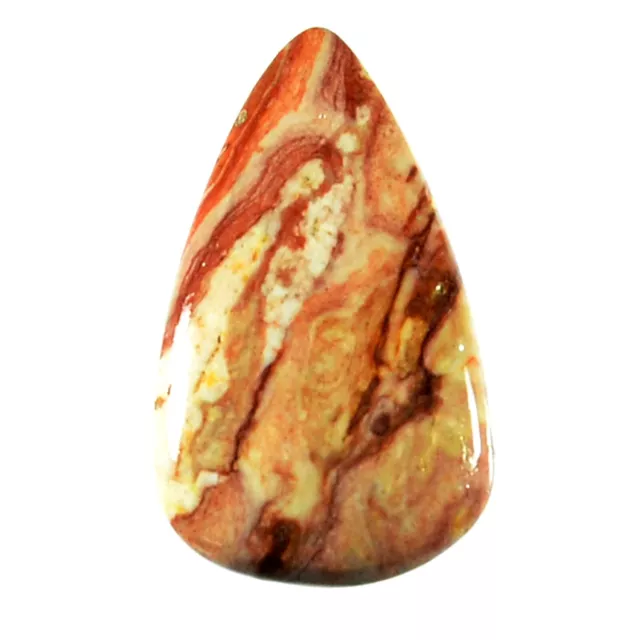 52.55Ct 100% Naturel Pétrifié Bois Multi Quantité Cabochon Vrac Pierre Précieuse