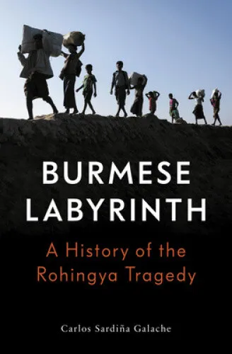 The Burmese Labyrinth by Galache, Carlos Sardina