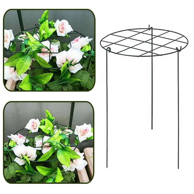 Fleur Support d'escalade Tige de fixation Cadre d'escalade Support pour plantes