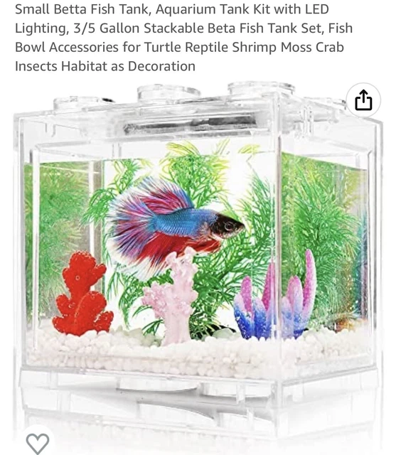 betta fish tank