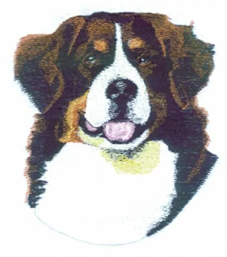 Embroidered Ladies T-Shirt - Bernese Mountain Dog BT3514 Size S - XXL