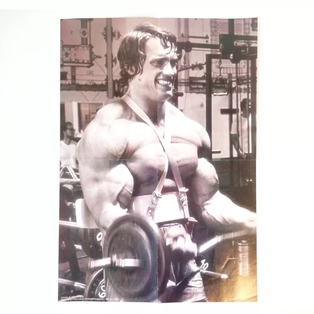 1993 IRONMAN Magazine's Arnold Schwarzenegger Poster | Lifting Weights