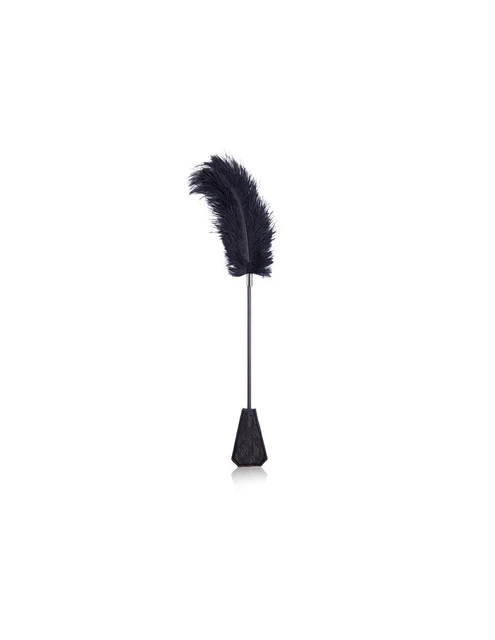 Plumas y Pala con Encaje 2 en 1 56 cm Negro