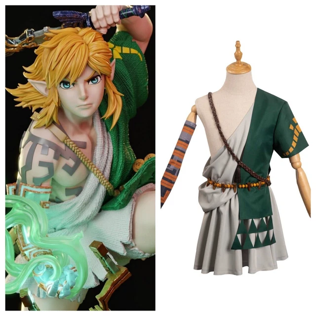 The Legend of Zelda Tears of the Kingdom Link Costume