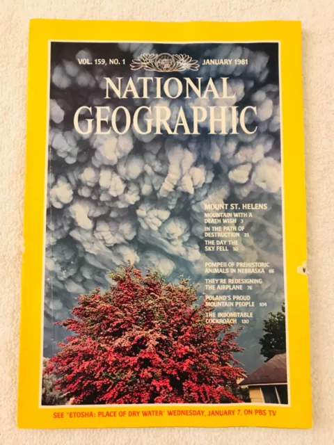 National Geographic January 1981 Mt St Helens Ancient Ashfall Poland Roaches