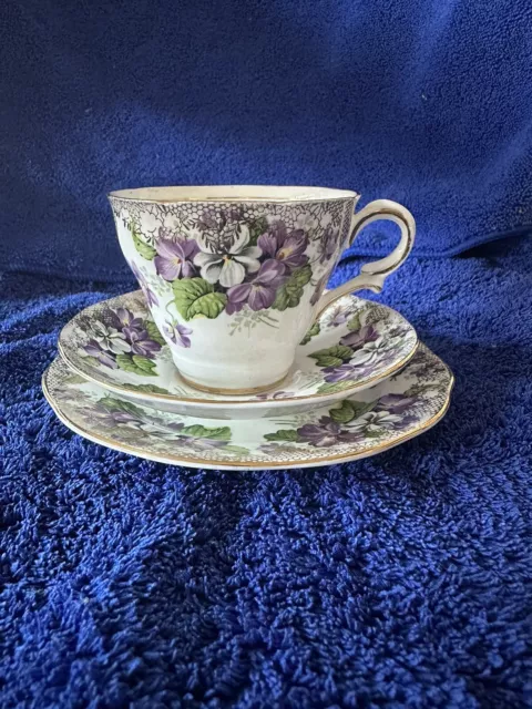 Vintage SALISBURY Bone China ENGLAND Devonshire Violets TRIO CUP SAUCER & PLATE