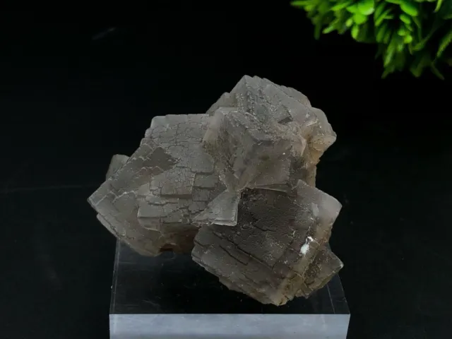 Spécimen de fluorite cubique fantôme naturel, pierre de guérison en cristal...