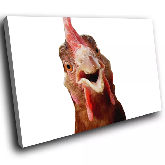 A250 Farm Rooster Chicken Hen Funky Animal Canvas Wall Art Large Picture Prints